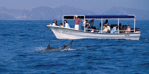 Dolphin Watching tour